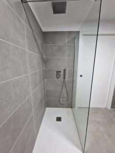 卡勒达德福斯特Hoy Caleta Apartments的浴室里有玻璃门的淋浴间 更多23张照片
