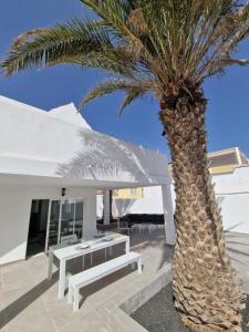 卡勒达德福斯特Hoy Caleta Apartments的相册照片