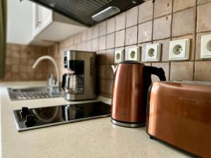 Cucina o angolo cottura di Wellness Pension 7