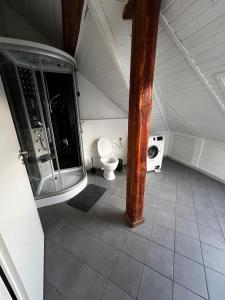 a bathroom with a toilet in a attic at Kalinka 90766 Fürth in Fürth +21 photos