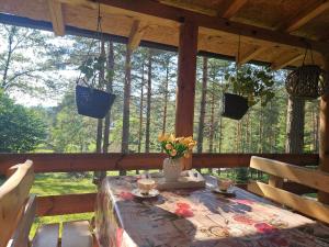 Zahrada ubytování Vila Tatjana-Zlatibor + 17 fotografií