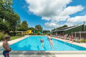a group of children playing in a swimming pool at Chalet Vechtdal in Mariënberg