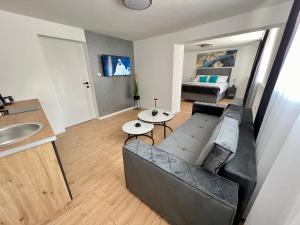 a living room with a couch and a bed at Apartment Arte Old Town - Free parking in Sarajevo