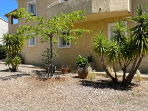a house with trees and plants in front of it at Rez de chaussez de villa 4 personnes mer in Sorbo-Ocagnano
