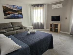 TV a/nebo společenská místnost v ubytování Hotel Velis