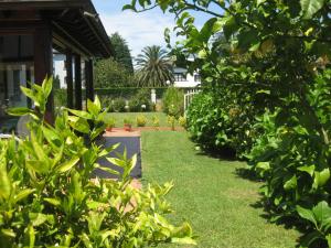 a garden with green plants and a house at Cabárceno Chalet vacacional Casa Pedro La Abadilla in La Abadilla +38 photos