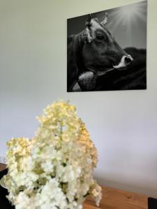 Fotografie z fotogalerie ubytování Apart 657 v destinaci Ramsau