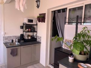 una piccola cucina con lavello e microonde di Loucoraly a Cavaillon