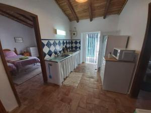 a kitchen with a sink and a microwave in a room at Casa Delfim - Casas Azul&Verde in Alte