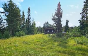 a cabin in the middle of a field with trees at Gorgeous Home In Gol With Sauna in Sanderstølen