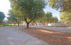 カロヴィーニョにあるStunning Home In Carovigno With Wifiの道路脇の木 +37枚の写真