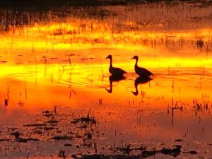 Blick auf den Sonnenuntergang/Sonnenaufgang von des Ferienhauses aus oder aus der Nähe