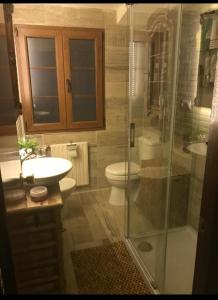 a bathroom with a shower and a toilet and a sink at Habitación Oviedo 2 in Oviedo