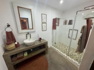 a bathroom with a sink and a shower at The Blue Shutter Guest House in Haenertsburg +34 photos