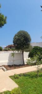 Zahrada ubytování Villa Francesca