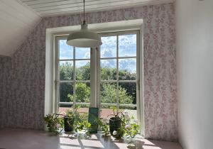 FaxeSleepOrup的房间的窗户前摆放着盆栽