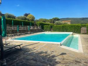 a swimming pool in a yard with a bench at Agriturismo Annibale in Tuoro sul Trasimeno