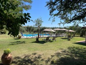 a pool with chairs and umbrellas in a park at Il Girasole Terzuolo in Manciano