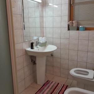 a bathroom with a sink and a toilet at Green House Livno in Livno