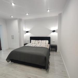 una camera da letto con un letto grande in una stanza bianca di Apartament Gizycko a Giżycko