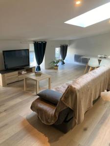 a living room with a couch and a tv at Joli petit appartement in Eymet