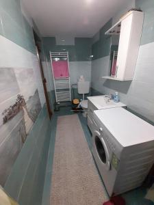 ein Badezimmer mit Waschmaschine und Waschbecken in der Unterkunft Cabana Robert in Arieşeni
