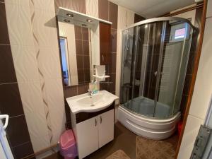 ein Badezimmer mit Waschbecken, Dusche und Spiegel in der Unterkunft Cabana Robert in Arieşeni + 13 Fotos