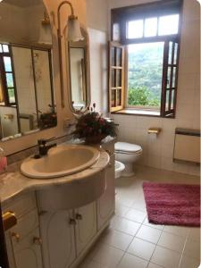 a bathroom with a sink and a toilet and a window at Quinta do galo in Magrelos
