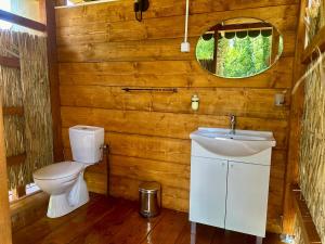 a bathroom with a toilet and a sink and a mirror at Zeta River Glamping in Danilovgrad