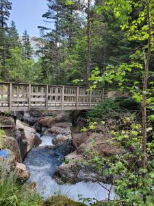 un pont en bois sur un ruisseau dans une forêt dans l'établissement Studio cosy classé 3 étoiles dans cœur historique, à Arreau 11 autres photos