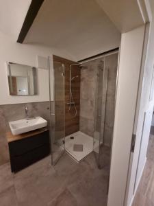 une salle de bain avec douche et lavabo dans l'établissement Ferienwohnung Am Schloss Gersdorf, à Markersdorf