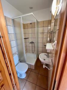 a bathroom with a shower and a toilet and a sink at Pokoje gościnne Pod bocianami in Stegna