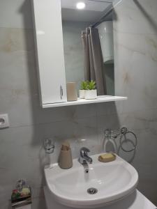 Koupelna v ubytování Apartman Pavlović Divčibare + 13 fotografií