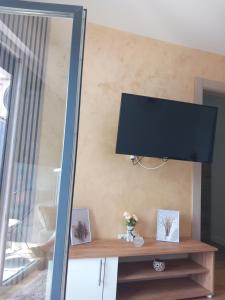 Apartman Pavlović Divčibare電視和／或娛樂中心