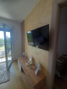 Apartman Pavlović Divčibare電視和／或娛樂中心