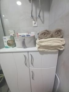 迪夫伊拜的住宿－Apartman Pavlović Divčibare，相簿中的一張相片