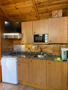 a kitchen with a sink and a microwave at Camping Forcanada in Era Bordeta