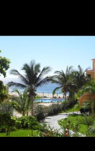 une vue d'un complexe avec piscine et palmiers dans l'établissement Beach resort suite, à Cabo San Lucas