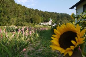 Imagen de la galería de Hotel & Gasthof Zur Linde, en Kipfenberg