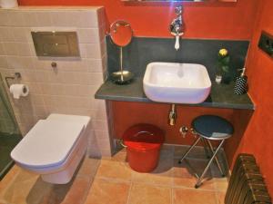 a small bathroom with a sink and a toilet at Casa Rural Cal Xico in Adrall