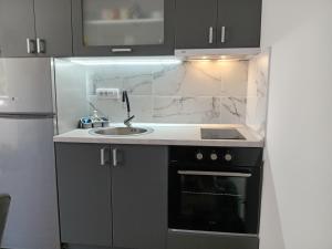 Η κουζίνα ή μικρή κουζίνα στο Apartman Savić Divčibare