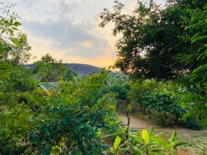 Paesaggio naturale nelle vicinanze dell'affittacamere