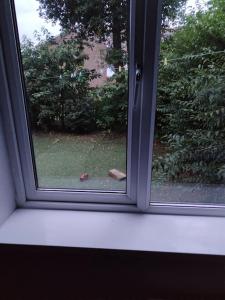 Gallery image of Cosy 2-bed apartment with free parking & ramp access in Atherton