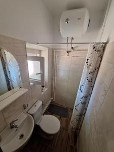 Koupelna v ubytování Apartman Krivošije