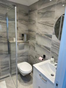 een badkamer met toilet en wastafel bij Appartement t1 aiguebelle in Randens +21 foto's