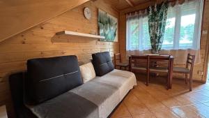 a living room with a couch and a table at Letnisko Laba in Pobierowo
