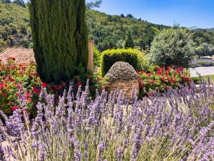 Zahrada ubytování Domaine Ribiera, Hotel 5 Etoiles, SPA & Golf - Forcalquier
