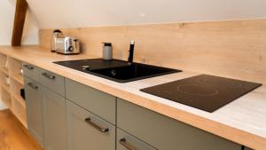 a kitchen with a sink and a counter top at Schloss Sigrön Apartements in Bad Wilsnack +8 photos