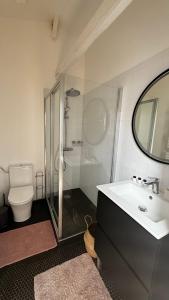 a bathroom with a sink and a shower and a toilet at Maison Cosy - Maison de Maitre in Saint-André