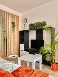 Μια τηλεόραση ή/και κέντρο ψυχαγωγίας στο Appartement Tropical